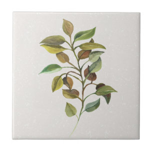 Azulejo Acento de crema de aerosol Leafy