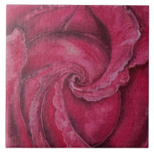 Acercamiento a la rosa roja