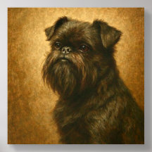 Affenpinscher