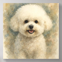 Bichón Frisé