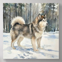 Caja de joyería de Alaskan Malamute