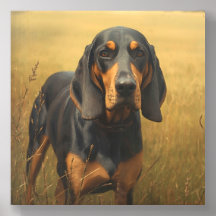 Coonhound negro y fuego