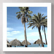 Palmeras de Aruba y cabañas de playa Palapa