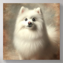 Perro Esquimal Americano