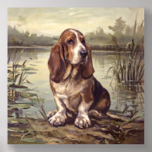 Sabueso Basset