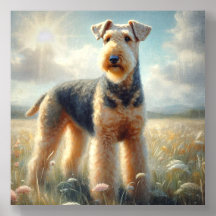Terrier Airedale