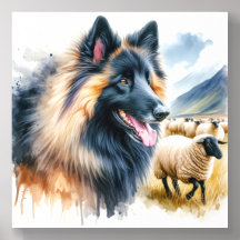 Tervuren Belga