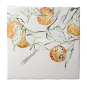 Azulejo Acuarela Citrus Fruit Clementine Cutie