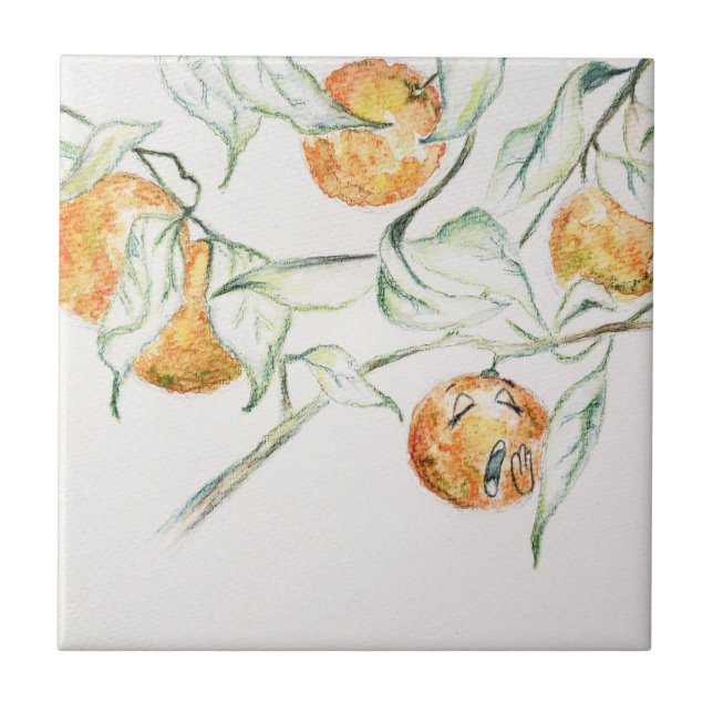 Azulejo Acuarela Citrus Fruit Clementine Cutie (Frente)