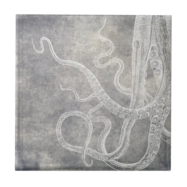 Azulejo Acuarela costera Octopus Plata Pewter Neutral (Frente)
