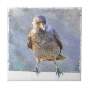 Azulejo Acuarela de Jackdaw
