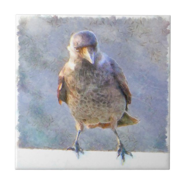 Azulejo Acuarela de Jackdaw (Frente)