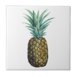 Azulejo Acuarela de piña tropical<br><div class="desc">Acuarela de piña tropical. Artista: Grace Popp. ID de la imagen: 105687D.</div>
