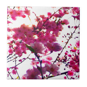 Azulejo Acuarela floral rosa de primavera   Árbol en flor 