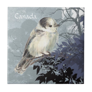 Azulejo Acuarela Gris, Gris o Canadá Pájaro Nacional Jay
