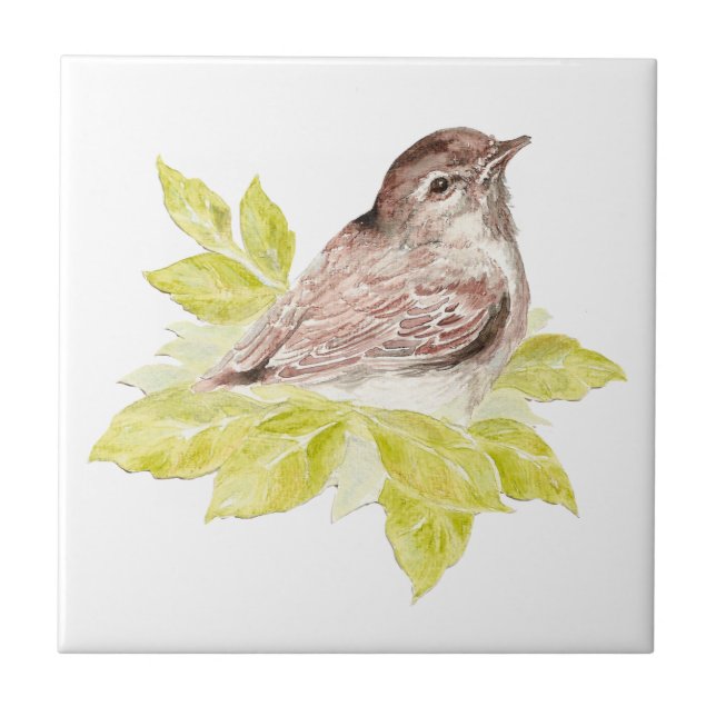Azulejo Acuarela Pequeña Esparrow Arte de vida silvestre (Frente)