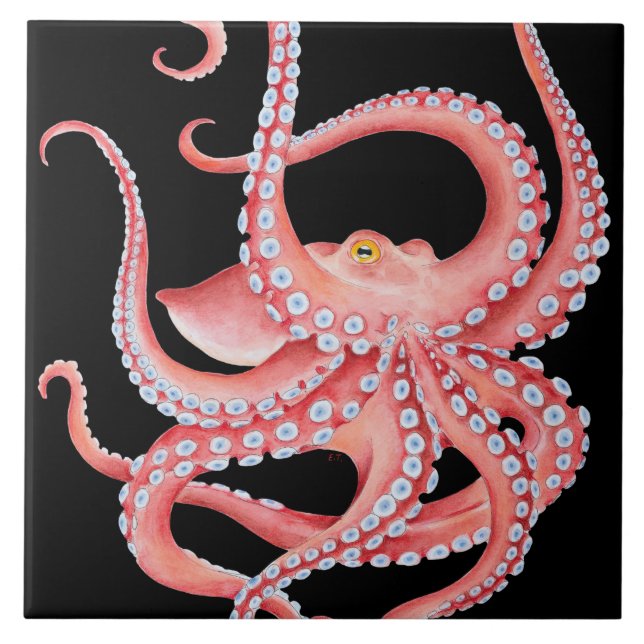 Azulejo Acuarela roja del pulpo en negro (Frente)