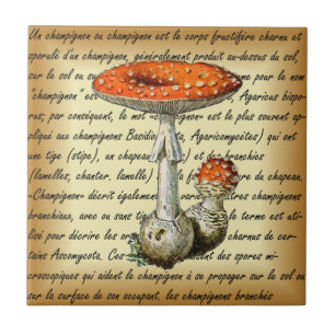 Azulejo Adolphe Millot ~ Champignons-pour tous ~