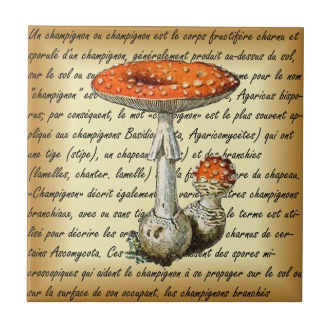 Azulejo Adolphe Millot ~ Champignons-pour tous ~  (Frente)