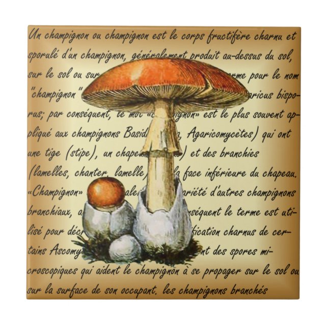 Azulejo Adolphe Millot ~ Champignons-pour tous ~  (Frente)