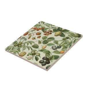 Azulejo Adolphe Millot - Frutas
