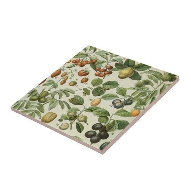 Azulejo Adolphe Millot - Frutas (Lado)