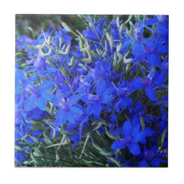 Azulejo Aestética azul Lobelia floración cottagecore garde