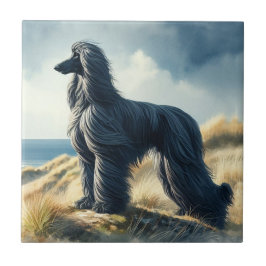 Azulejo Afghan Hound