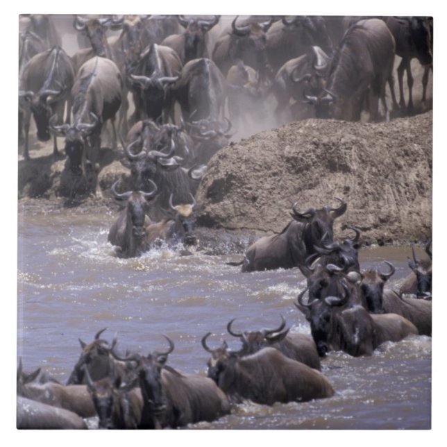 Azulejo África, Kenia, Parque Nacional Masai Mara. (Frente)