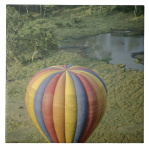 Azulejo África, Kenya, Reserva Nacional Masai Mara, 3