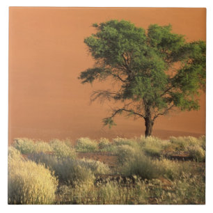 Azulejo África, Namibia, Parque Nacional Namib, Sossusvlei