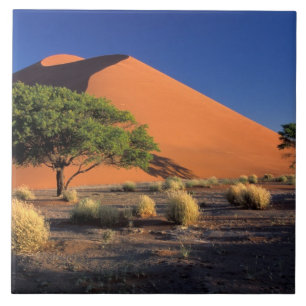 Azulejo África, Namibia, Parque Namib-Naukluff, Sossosvlei