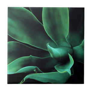 Azulejo Agave Atentada Verde