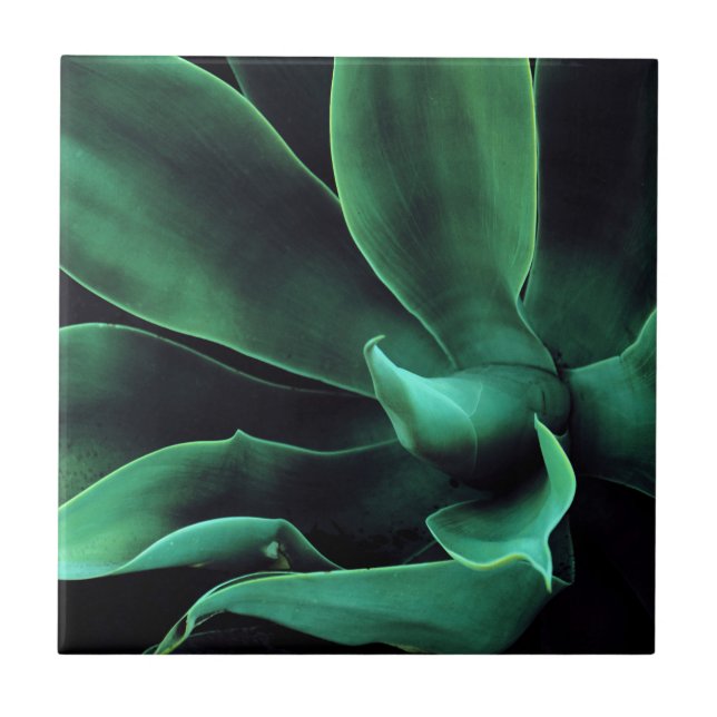 Azulejo Agave Atentada Verde (Frente)