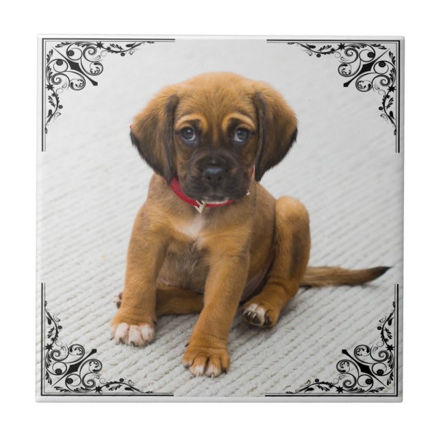 AZULEJO AGREGAR TU PROPIA FOTO (Frente)