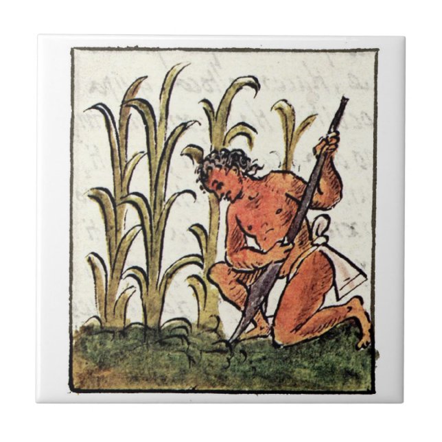 Azulejo Agricultor azteca cultivando maíz (Frente)