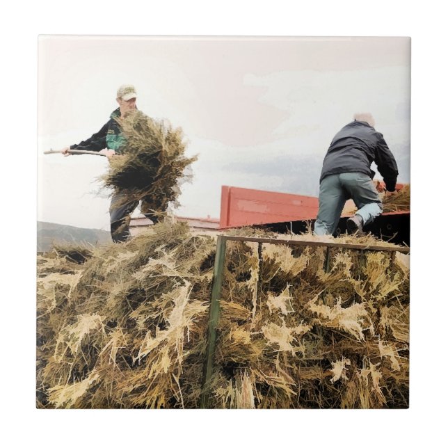 AZULEJO AGRICULTURA (Frente)