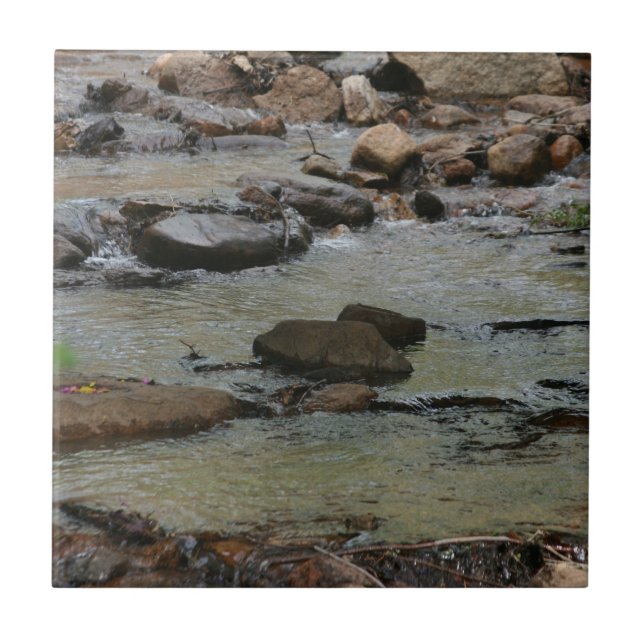 Azulejo Agua de Río (Frente)