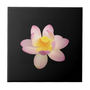 Azulejo Agua Lily Cerámica Tile