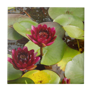 Azulejo Agua Lily Cerámica Tile