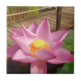 Azulejo Agua Lily Cerámica Tile