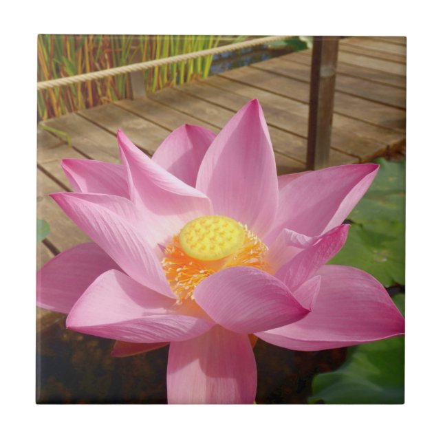 Azulejo Agua Lily Cerámica Tile (Frente)