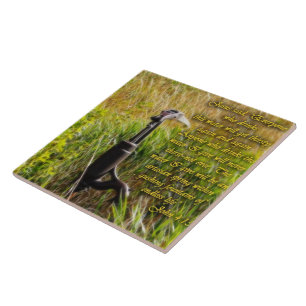 Azulejo Agua viva John 4 Inspirador