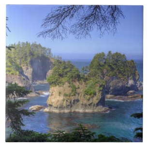 Azulejo Aguas marinas, tierras tribales de la nación Maka