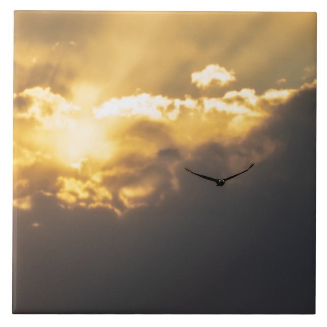 Azulejo Águila Calva Fuera Del Sol (Frente)