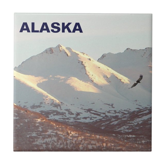 Azulejo Águila de invierno (Frente)