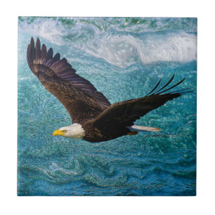 Azulejo Águila trepando sobre la tormenta