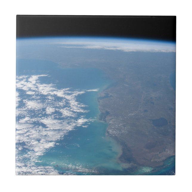 Azulejo Al Norte De La Península De Florida. (Frente)