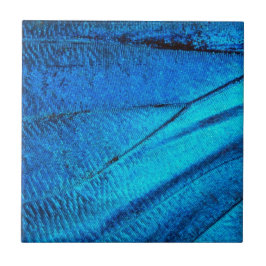 Azulejo Ala de Mariposa Azul Irisada