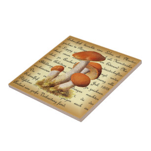 Azulejo Albin Schmalfuß~Espenrotkappe1~ champiñones ~